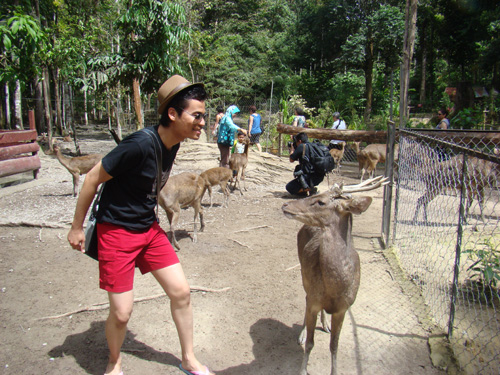 gajah12 gajah12