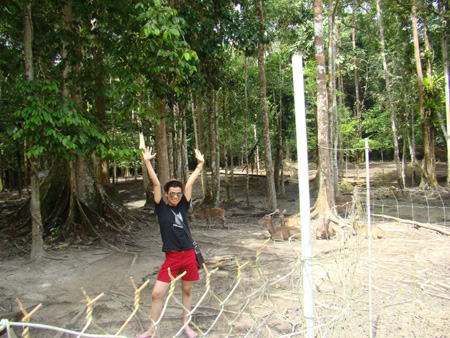 gajah15