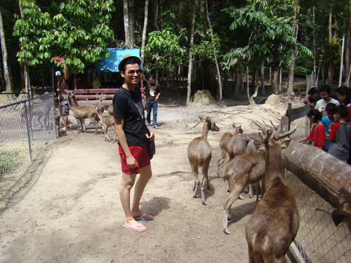 gajah2