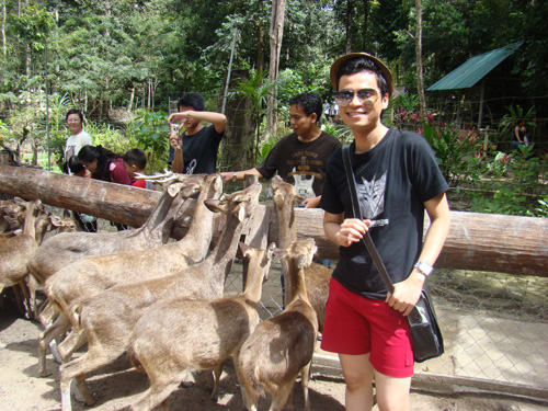 gajah4 gajah4