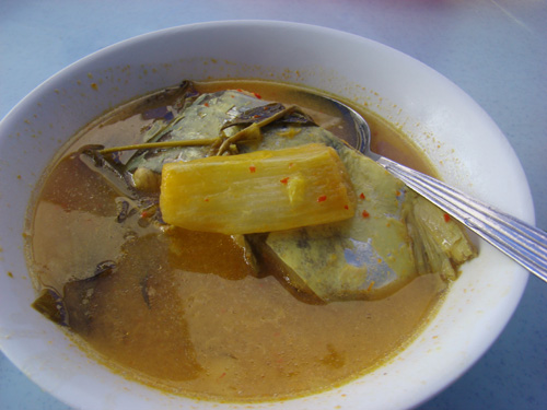 patin